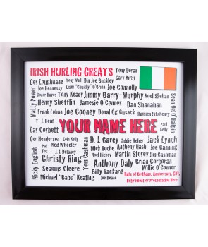 Hurling’s Greatest Players